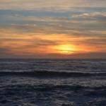 CambriaCN_0168 (November 05, 2016)